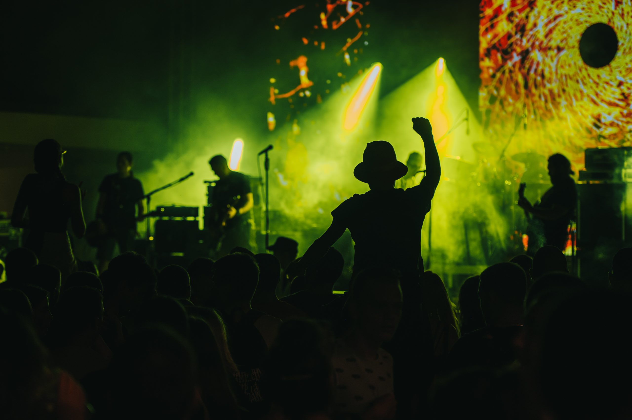 people enjoying. music festivals